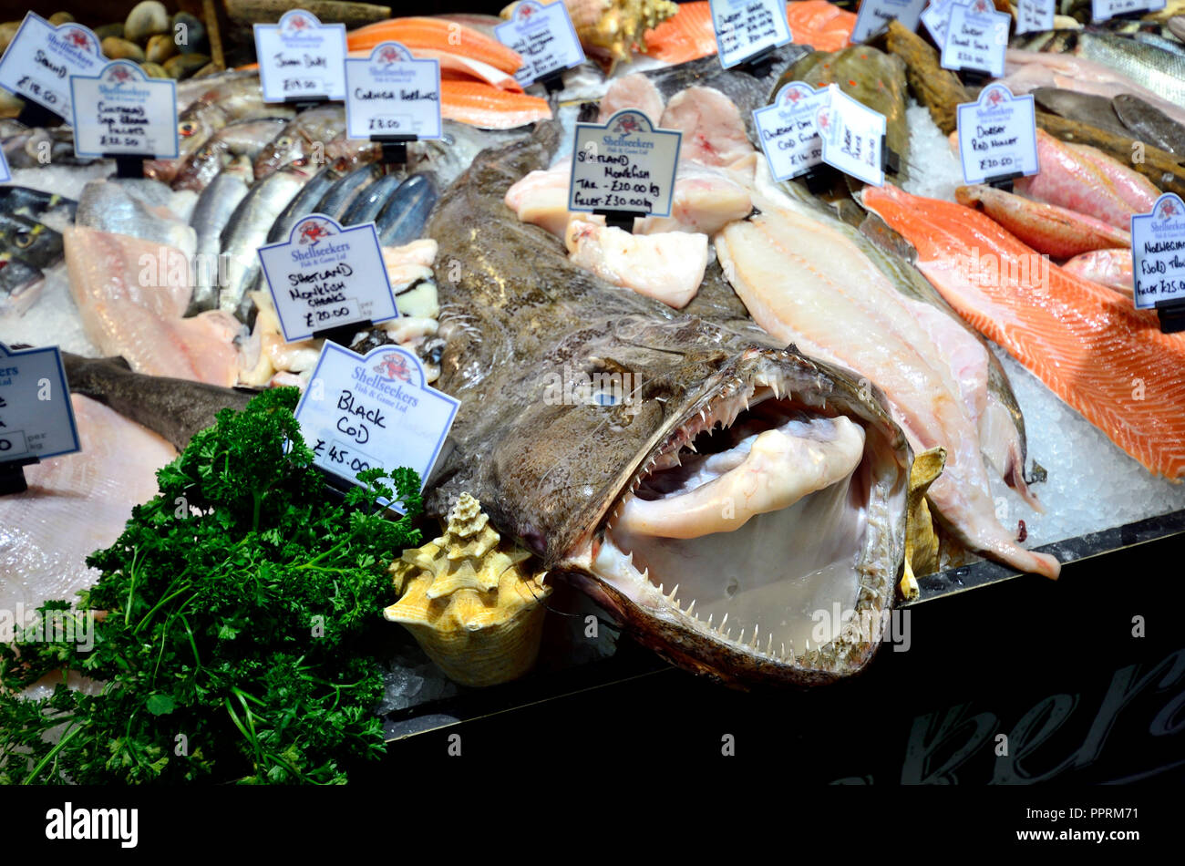 Tutta la rana pescatrice (bocca aperta) su un pesce fresco in stallo Borough Market. Londra, Inghilterra, Regno Unito. Foto Stock