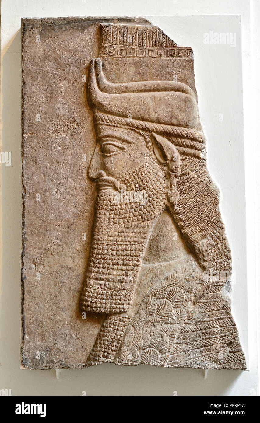 L'Assiro testa di un toro alato (C728BC) da Nimrud, palazzo centrale, al British Museum, Bloomsbury, Londra, Inghilterra, Regno Unito. Foto Stock
