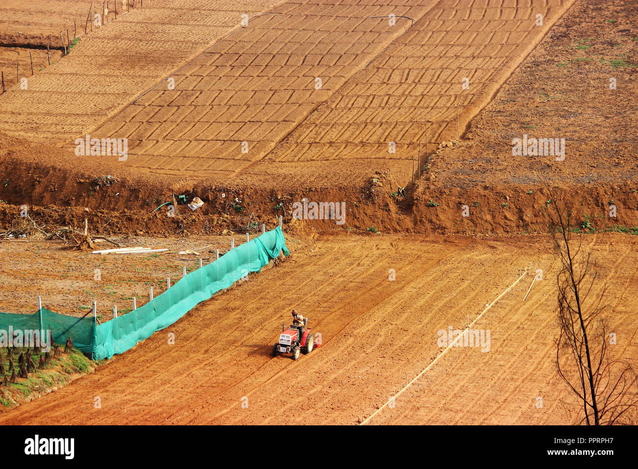 La bellezza dei terreni agricoli Foto Stock