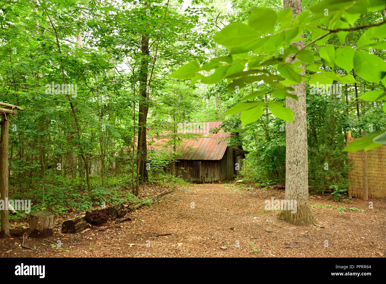 Vecchia piantagione mezzadri dell abitacolo o cabina slave, situato vicino al maestoso oakes mansion di Clayton County, Jonesborough Georgia. Foto Stock