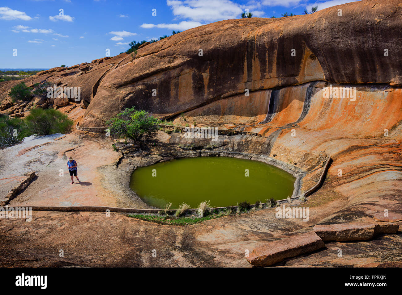 Waterhole noto anche come fori gnamma dagli aborigeni e wave rock formazione a Beringbooding Rock Australia Occidentale Foto Stock