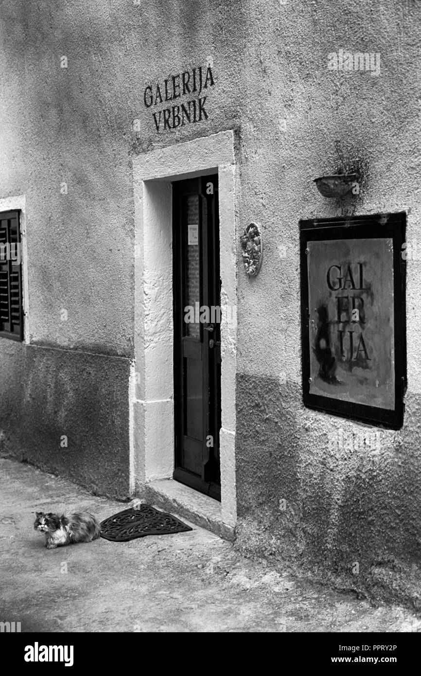 Una galleria d'arte, la Galerija Vrbnik ingresso con una gatta calico in guardia nel borgo medievale di Vrbnik sull'isola croata di Krk Foto Stock