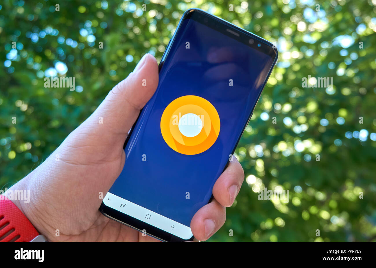 MONTREAL, Canada - 28 agosto 2018: Android Oreo logo Samsung s8 schermo in una mano. Foto Stock