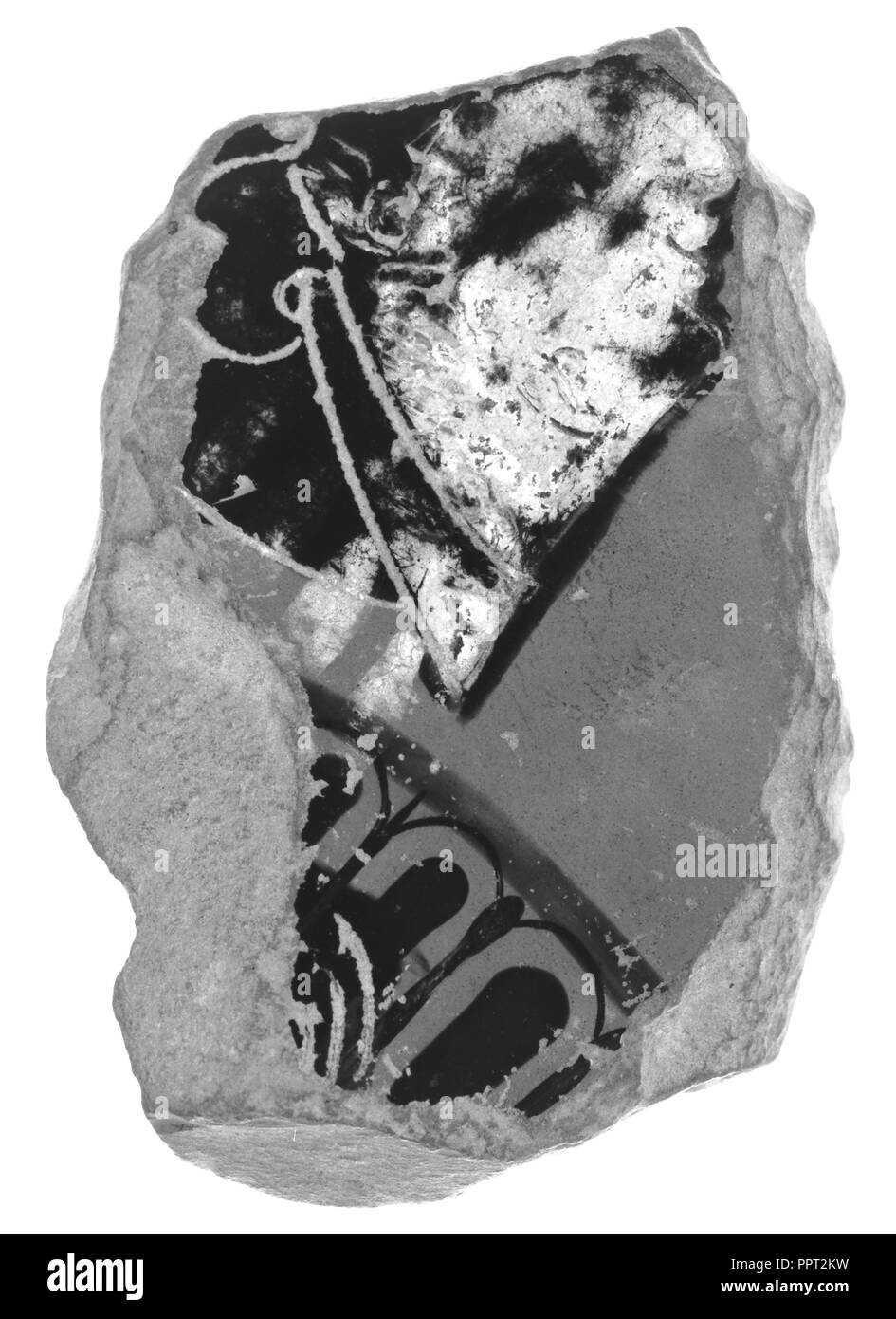 Attico Panathenaic Anfora frammento; ad Atene, in Grecia, in Europa; circa 400 B.C; cotto; 5,5 cm, 2 3,16 in Foto Stock