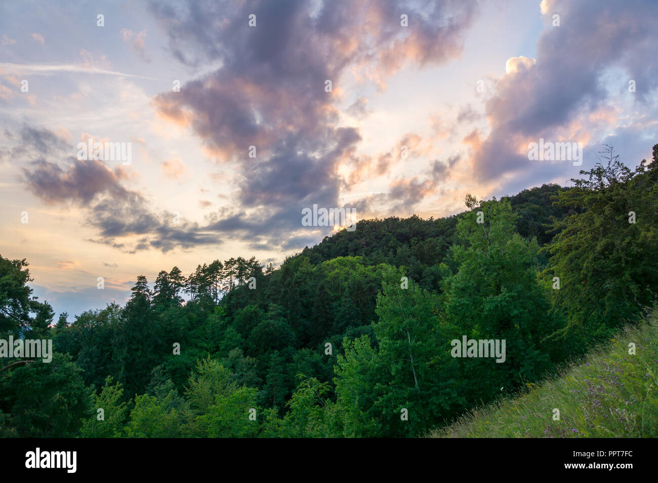 Germania, colorato tramonto cielo sopra il verde paesaggio boschivo Foto Stock