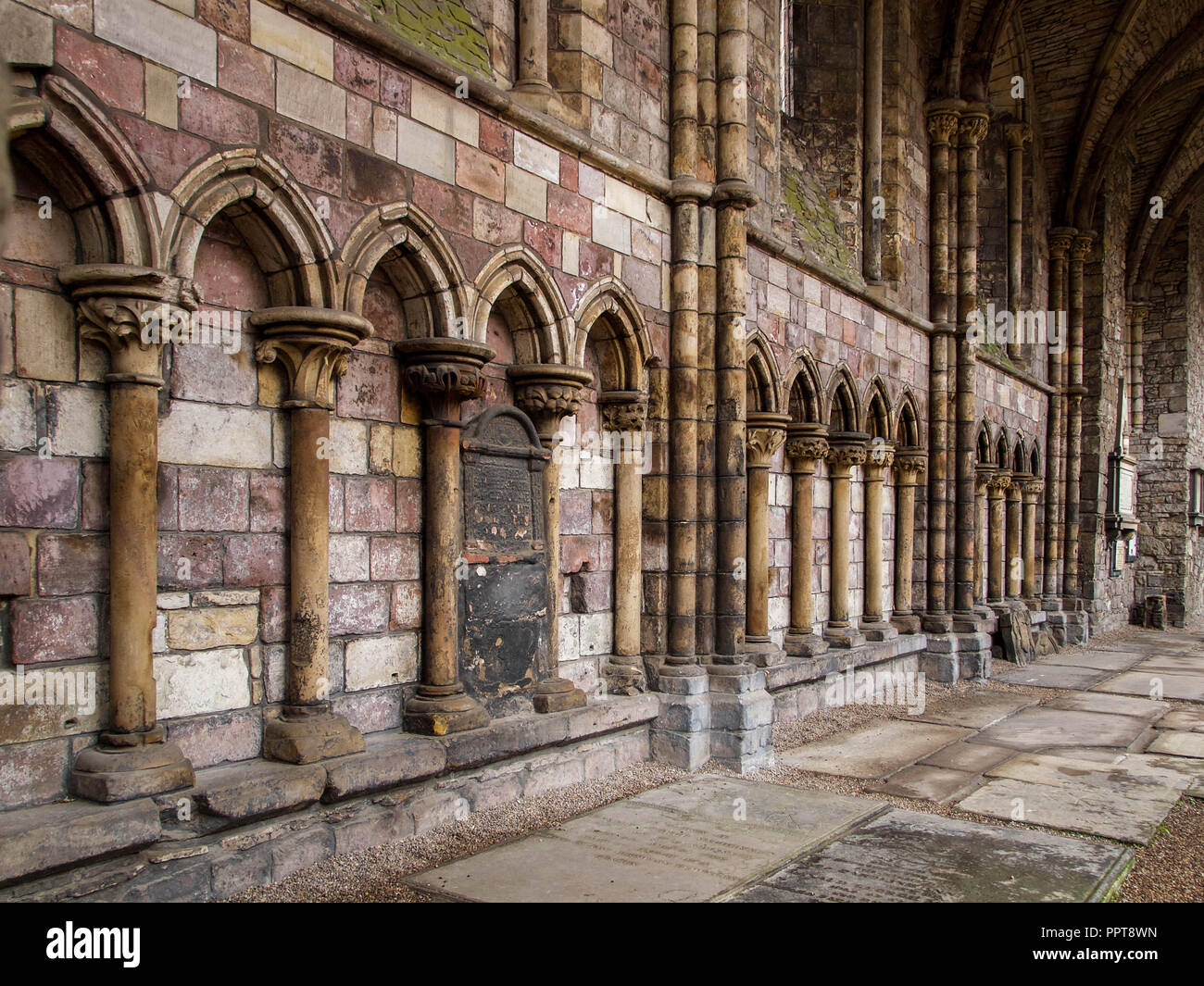 Dettagli architettonici del corridoio nord, Hollyrood abbazia costruita da Re David ho in 1128 per cannoni regolari di Edimburgo in Scozia Foto Stock