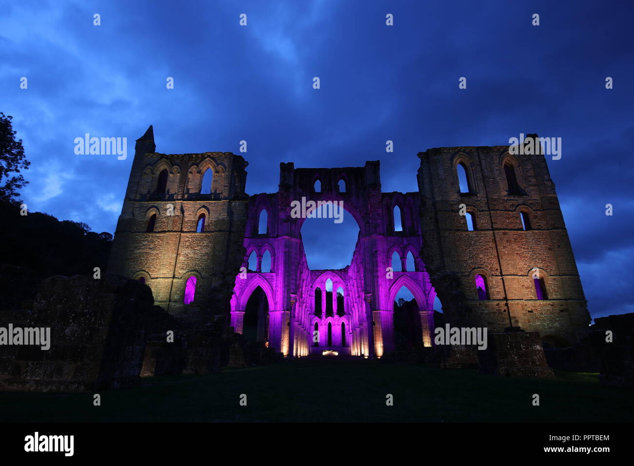 Rievaulx Abbey inondate di luce colorata in anticipo di Rievaulx illuminante, a tre notte luce e suono installazione presso l abbazia del XI secolo rovine nel North Yorkshire. Foto Stock