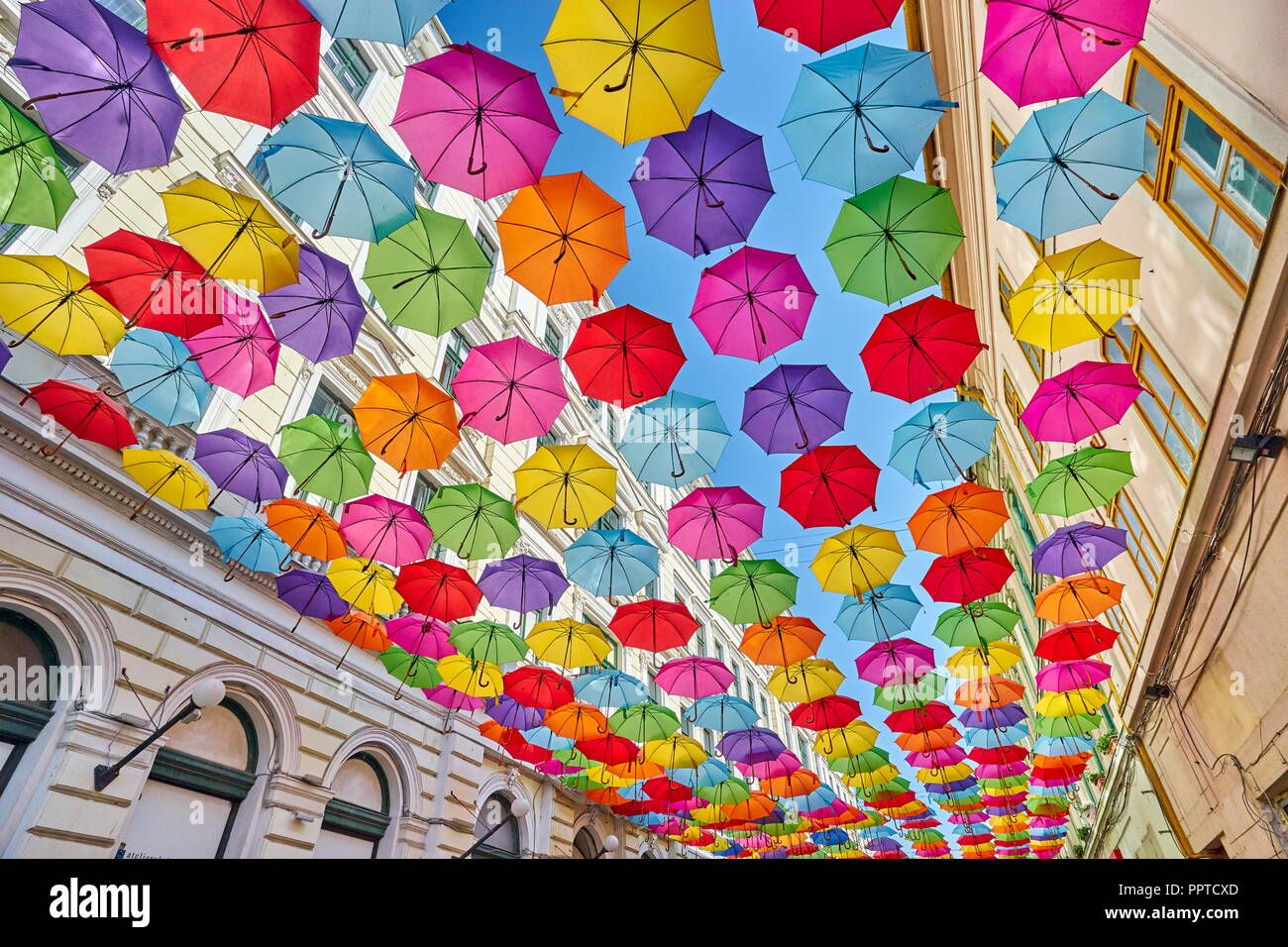 Street con ombrelloni colorati decorazione, città di Timisoara, Romania Foto Stock