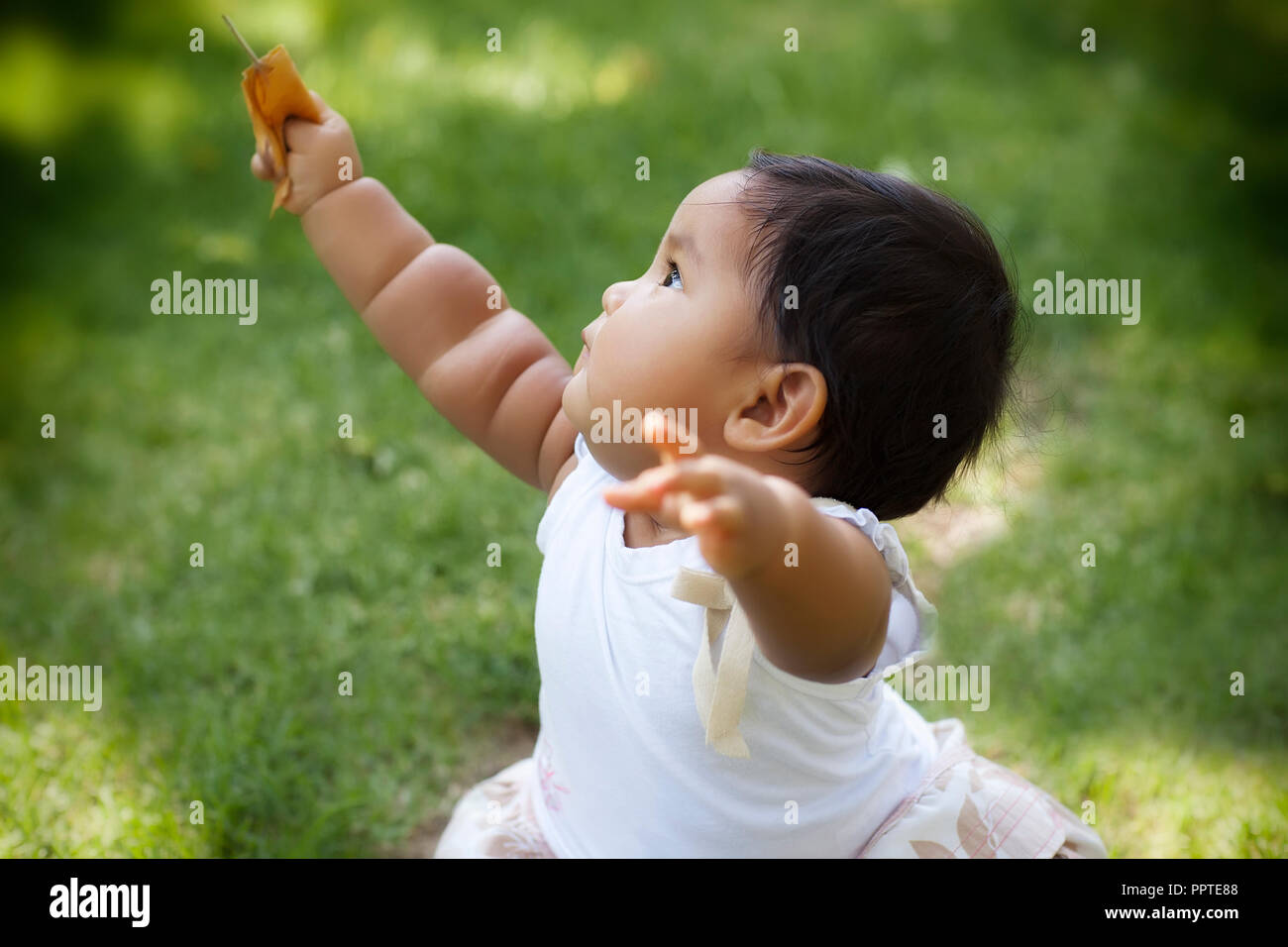 Carino chubby toddler alzando le braccia al cielo in un parco con prato verde che esprime il benessere e buona salute Foto Stock
