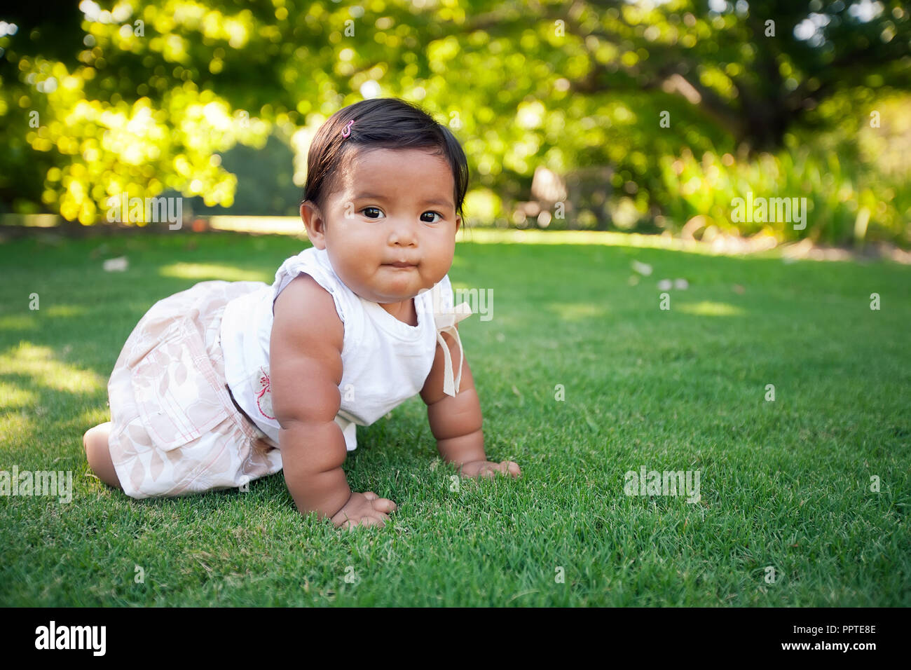 Adorabile bambina di imparare a strisciare in un bellissimo parco con prato verde e incontro con lei le pietre miliari dello sviluppo Foto Stock