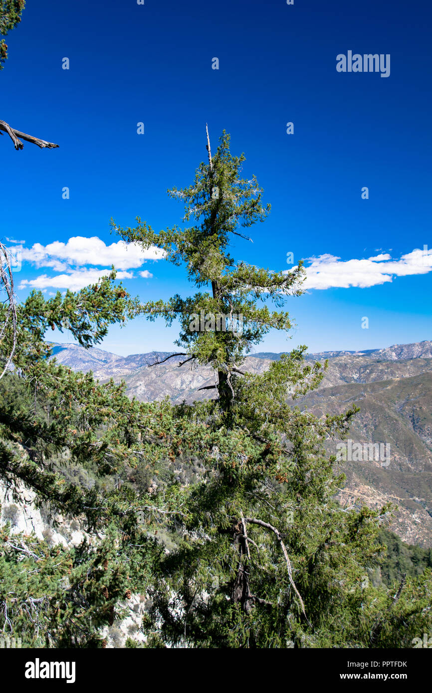 Vista delle montagne di San Gabriel come visto dal monte Wilson vicino a Glendale, California Foto Stock