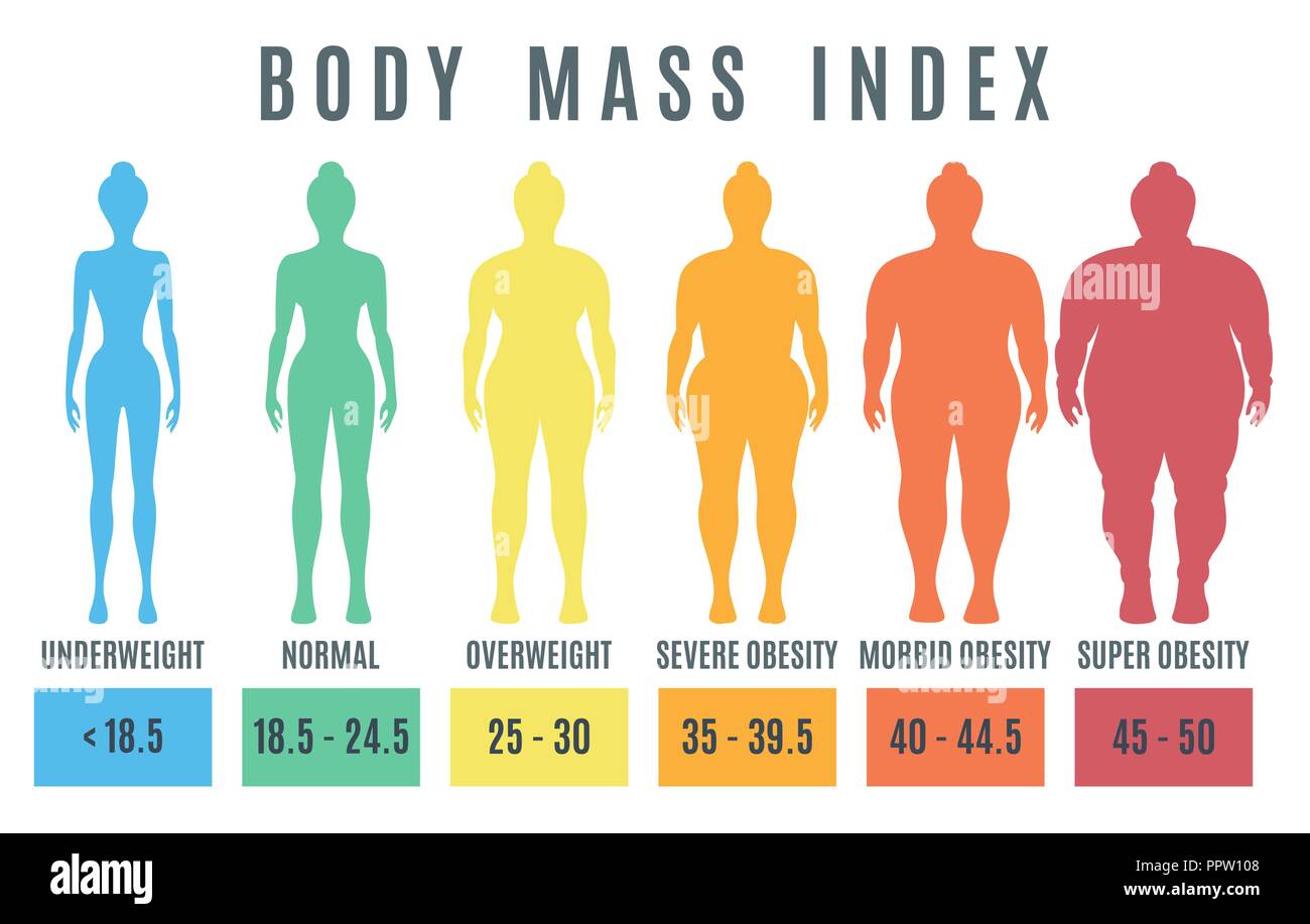 Corpo femmina indice di massa dal sottopeso per super obesità. Silhouette di donna con un peso diverso. Illustrazione Vettoriale Illustrazione Vettoriale