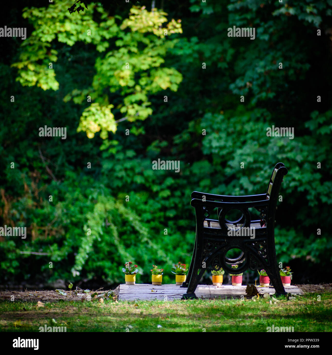 Alcuni piccoli vasi di fiori accanto a un banco di lavoro su Ray Mill isola vicino a Maidenhead Foto Stock