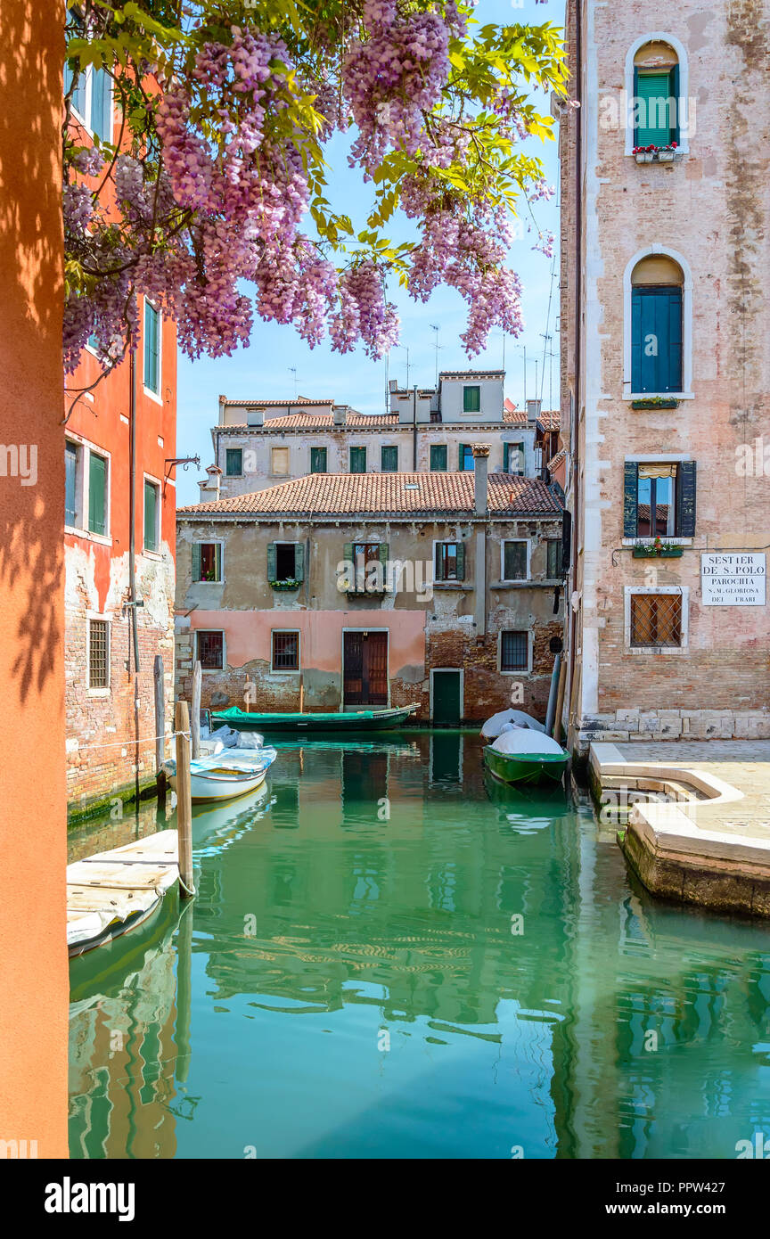 Venezia, Italia: scenic canal con i suoi edifici colorati, fiori e barche sul verde acqua Foto Stock