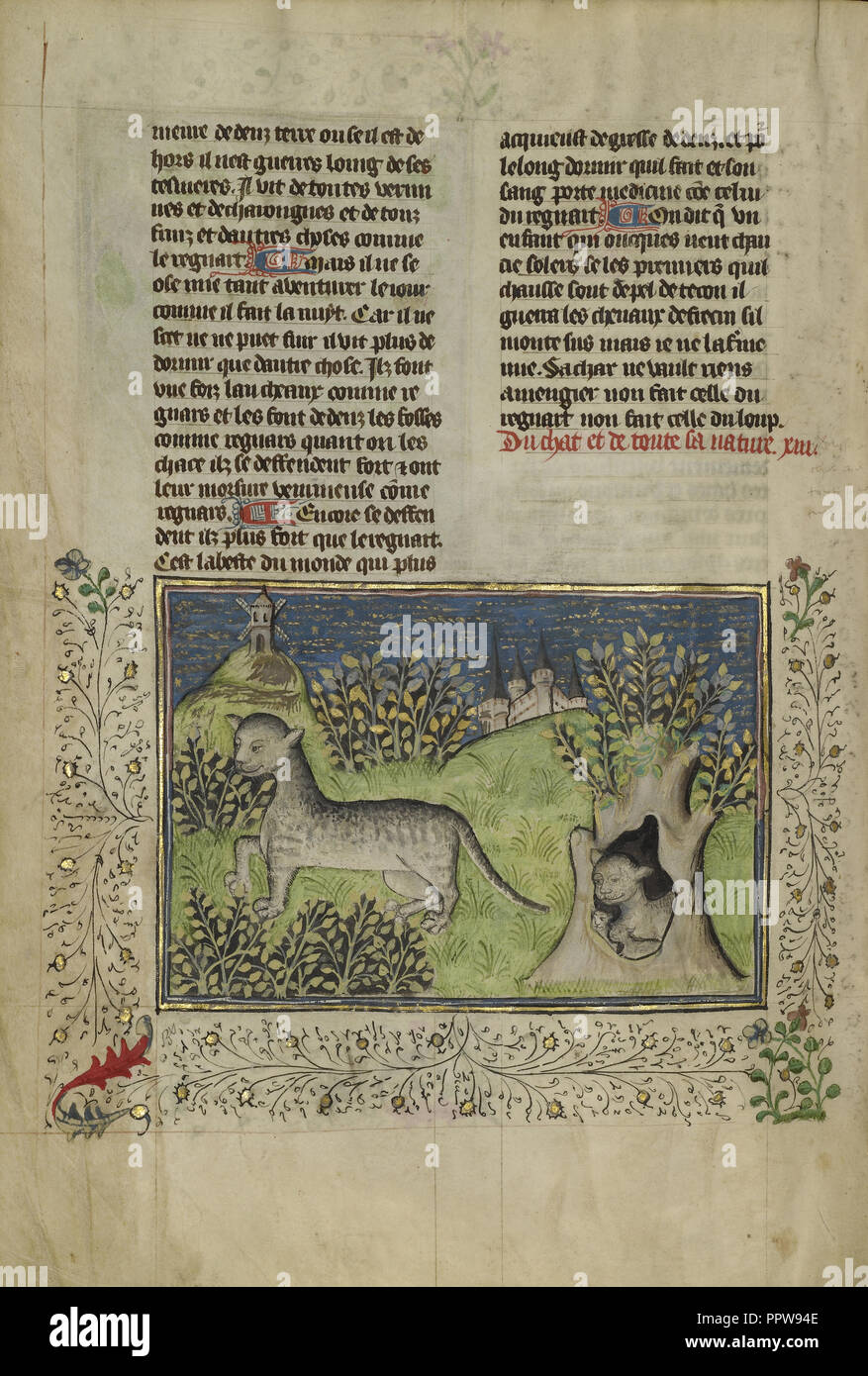 Wildcats; Brittany, Francia; circa 1430 - 1440; tempere, oro vernice, vernice argento e foglia oro su pergamena; foglie: 26.4 Foto Stock