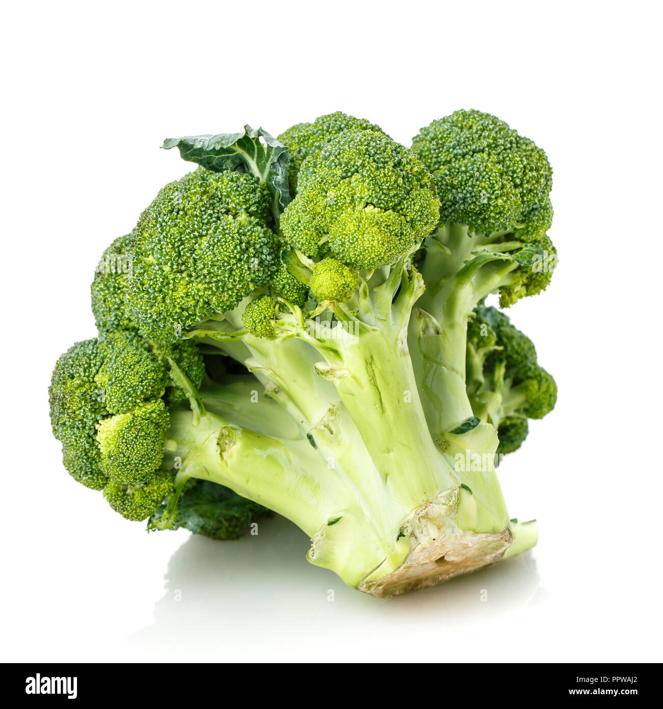 Broccoli con foglie. Mature di broccoli. Isolato su uno sfondo bianco Foto Stock