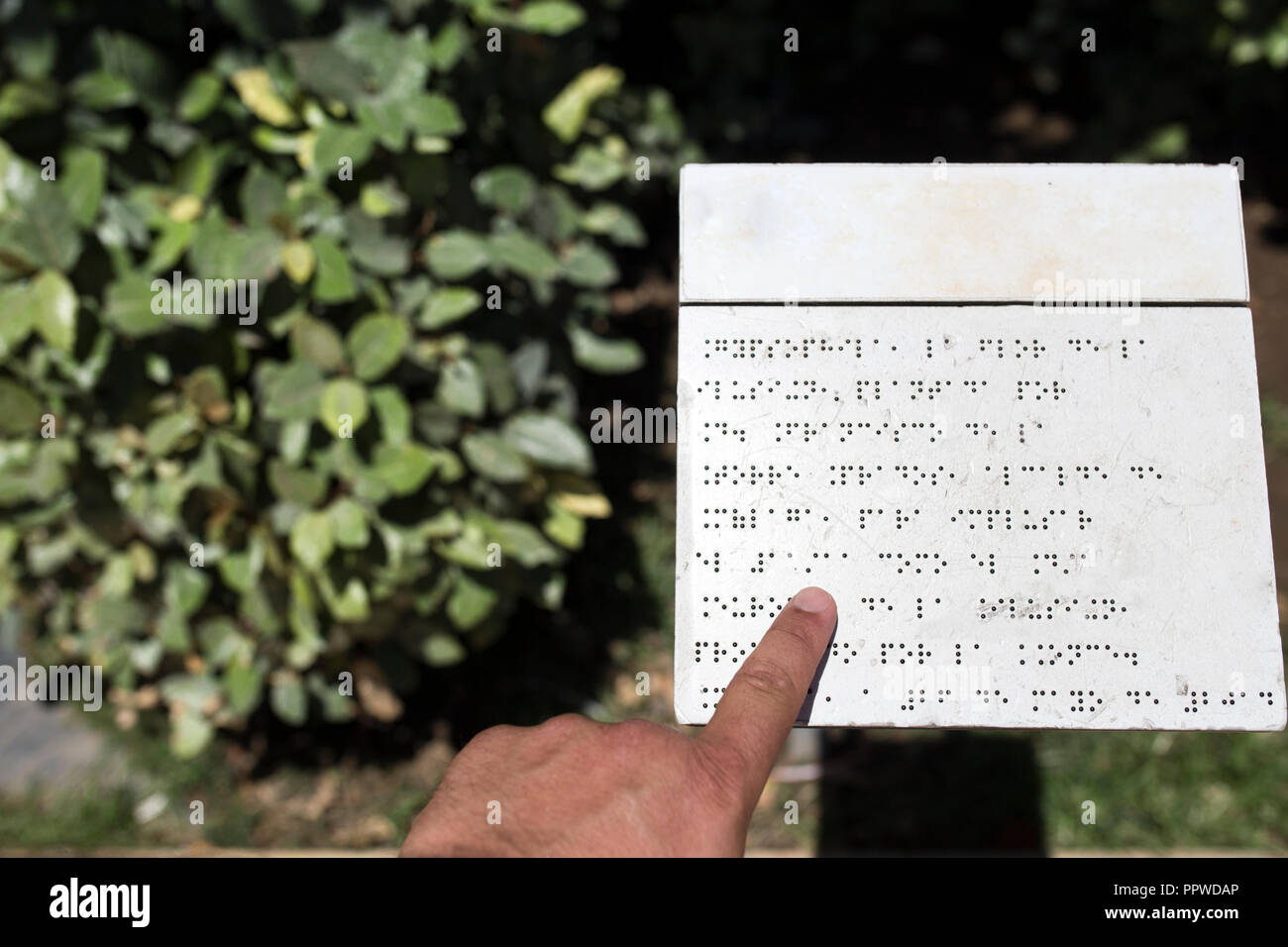 Lettura cieca didascalia di testo in linguaggio braille a giardino. Giardini Accesible concept Foto Stock