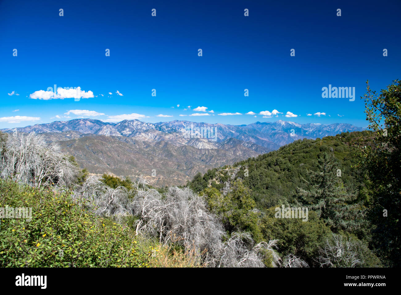 Vista delle montagne di San Gabriel come presi da Mt Wilson vicino a Glendale, California Foto Stock