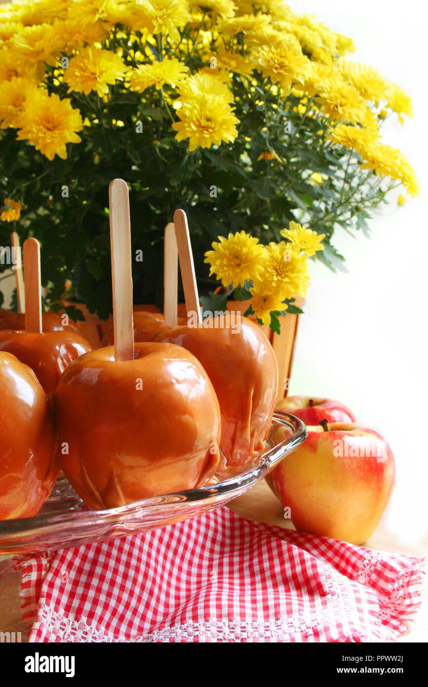 Caramello gourmet di mele con mamma e fiore rosso e bianco panno controllati Foto Stock