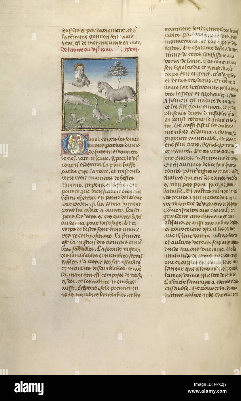 La creazione degli animali; Ghent, Belgio; circa 1475; tempere, foglia oro e oro dipingere su pergamena; foglie Foto Stock