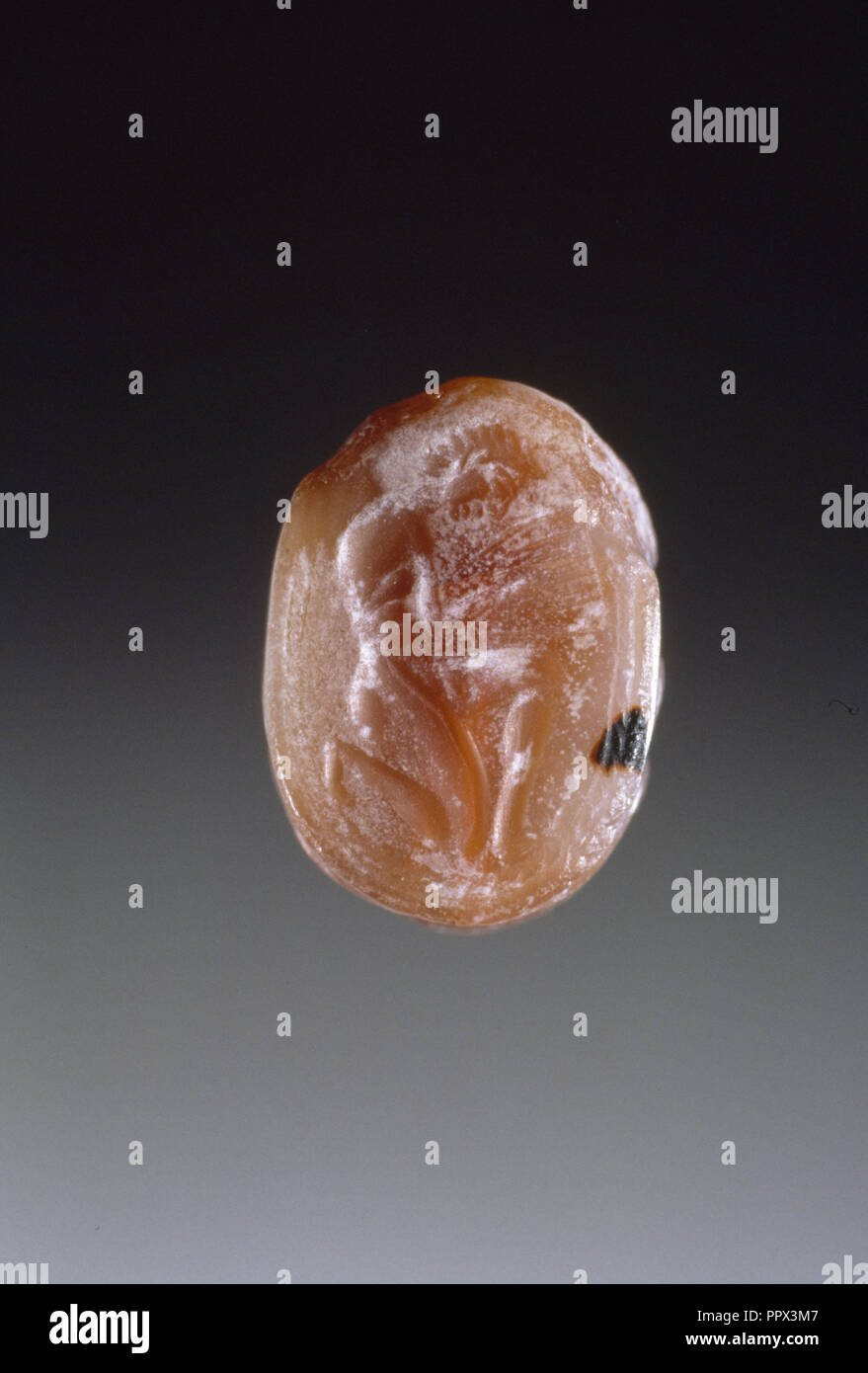 Scarabeo inciso; Sphinx e gioventù gruppo II; Grecia; sesto secolo tardo B.C; Corniola; 1 x 1,6 x 1,1 cm, 3,8 x 5,8 x 7,16 in Foto Stock Scarabeo inciso; Sphinx e gioventù gruppo II; Grecia; sesto secolo tardo B.C; Corniola; 1 x 1,6 x 1,1 cm, 3,8 x 5,8 x 7,16 in Foto Stock