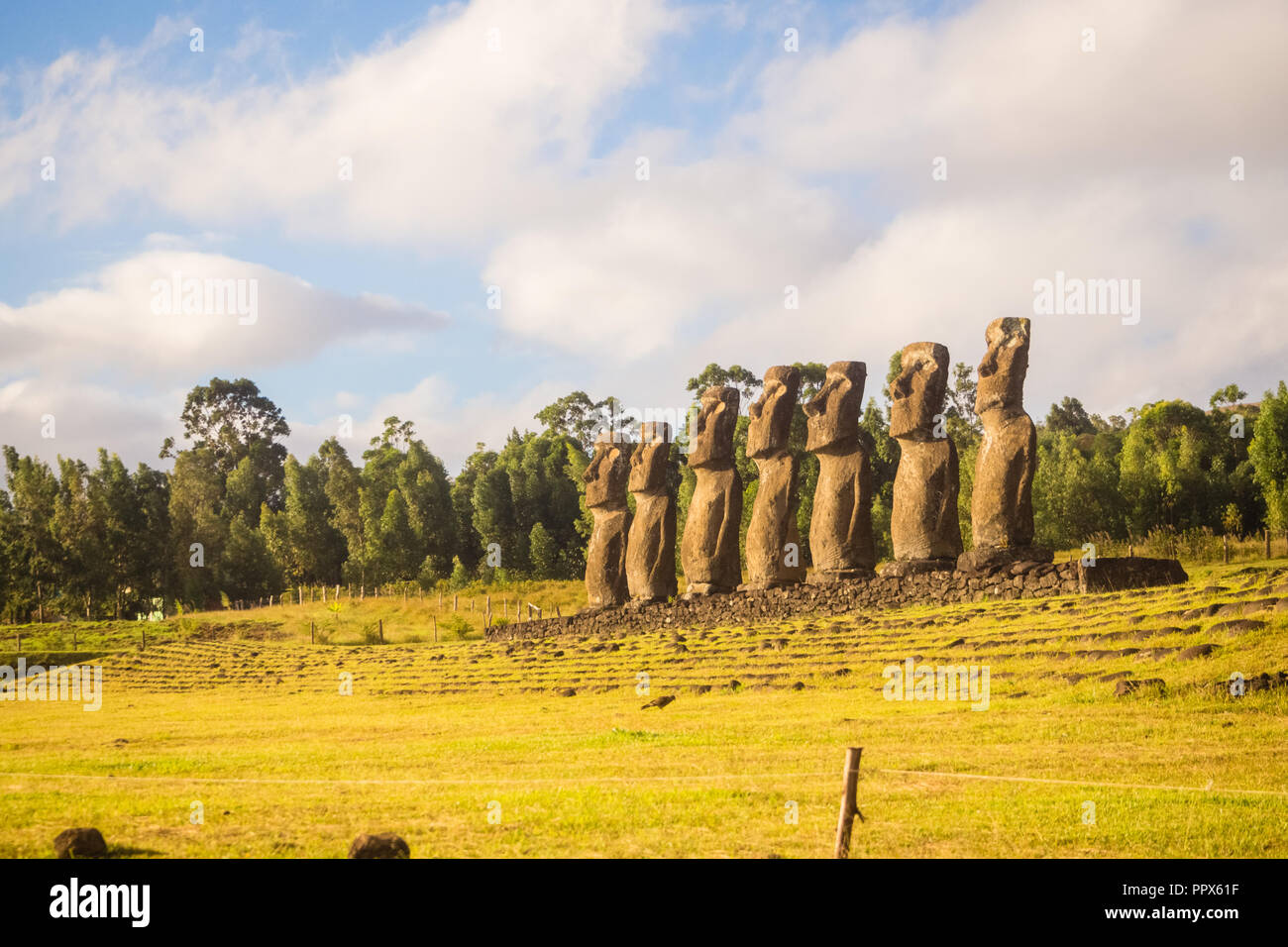Sunset sette moai di Ahu Akivi, Isola di Pasqua, Cile Foto Stock
