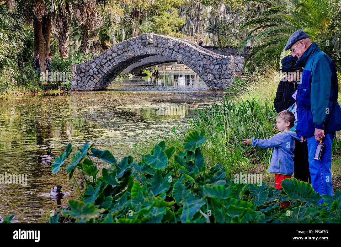 Nonni alimentano le anatre con il loro nipote a City Park, nov. 14, 2015, New Orleans, in Louisiana. Foto Stock