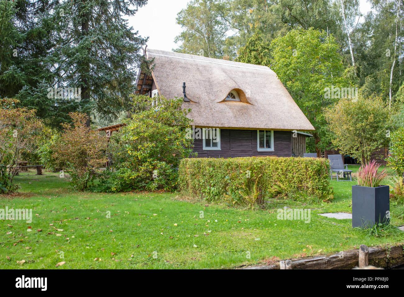 Lehde, Spreewald / Germania. Tipico paesaggio Spreewald. Canali, piante vivaci e architettura in legno. Foto Stock