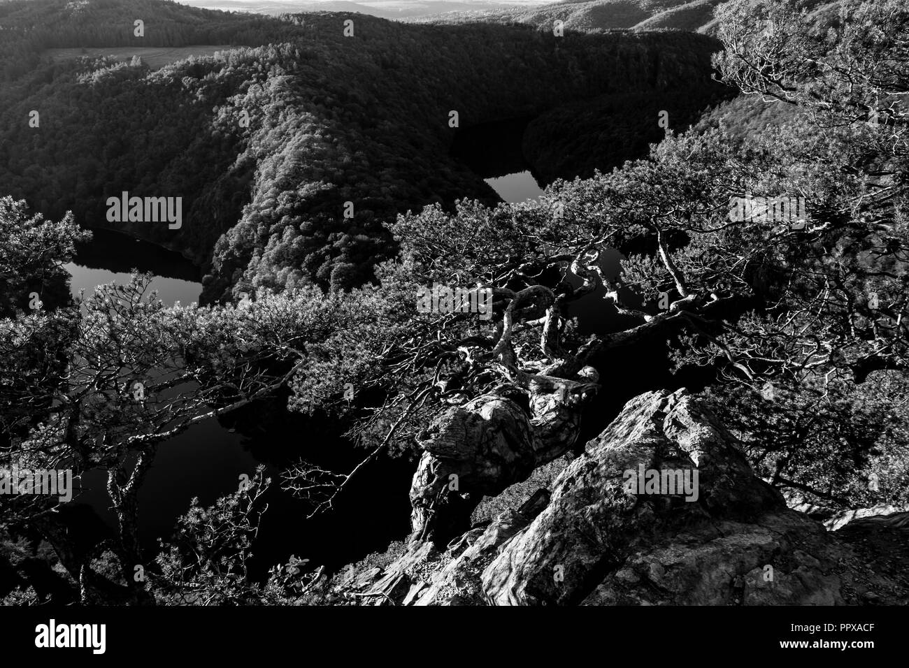 Vista panoramica del fiume canyon con acqua scura e autunno colorato tramonto. Curva a ferro di cavallo, il fiume Vltava, Repubblica Ceca. Bellissimo paesaggio con rive Foto Stock
