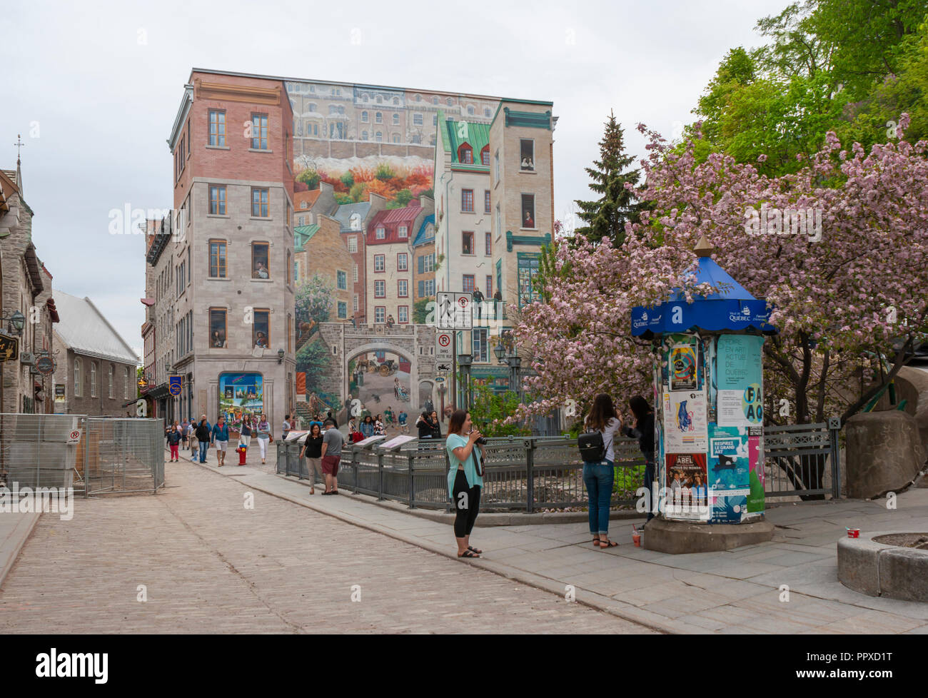 Le ragazze vicino a una colonna di Morris, la cattura di uno snapshot con una massiccia trompe-l'oeil murale dipinto sul lato di un edificio (La Fresque des Québécois). Foto Stock