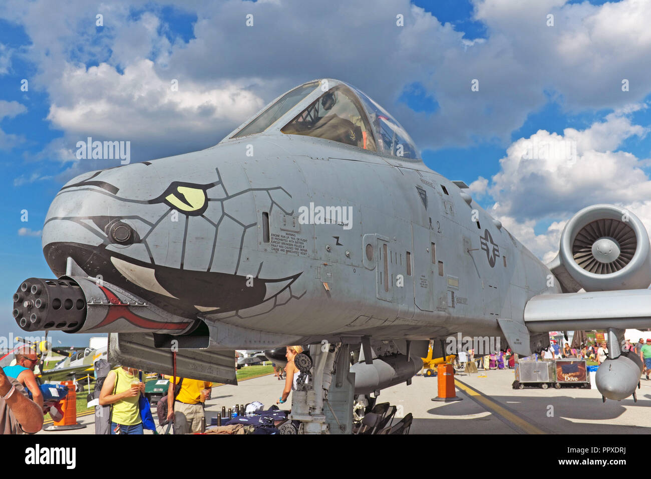 Noi Airforce A-10 warthog warplane con naso a serpentina arte sul display a 2018 Cleveland National Air Show in Cleveland, Ohio, USA. Foto Stock