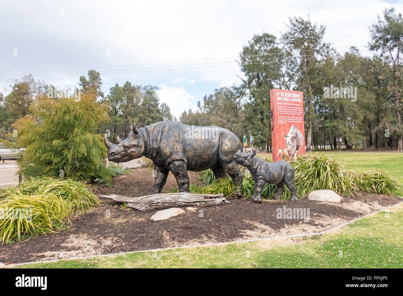 Statua di un rinoceronte e baby in ingresso al Taronga Western Plains Zoo, Dubbo NSW Australia Foto Stock
