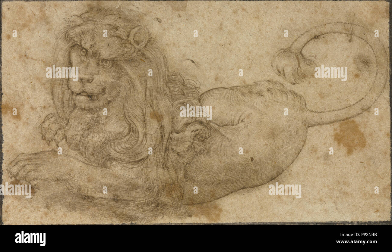 Studio di un leone; Lucas Cranach il Vecchio, Tedesco, 1472 - 1553, Germania; 1509; Penna e inchiostro bruno; 6,8 x 11,9 cm Foto Stock