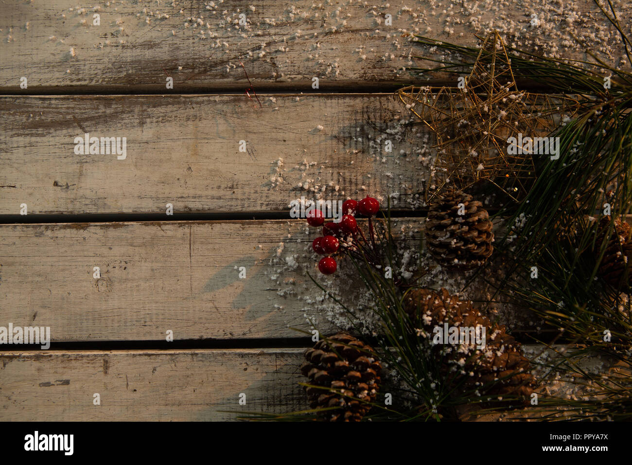 Spazio di copia con rami di pino Foto Stock