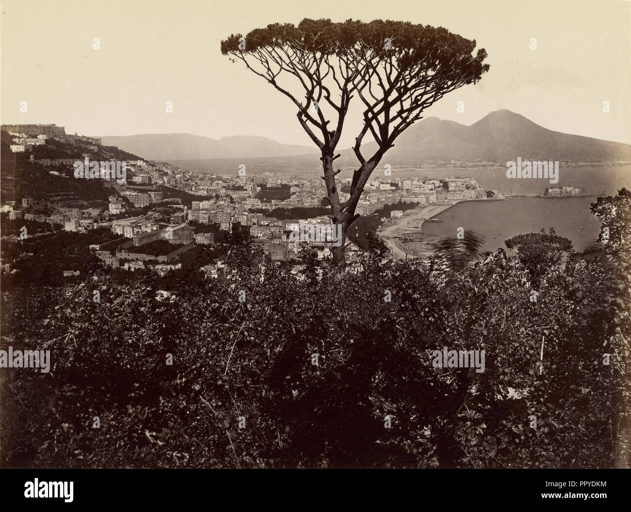 Panorama di Napoli; James Anderson, britannico, 1813 - 1877, circa 1845 - 1877; albume silver stampa Foto Stock
