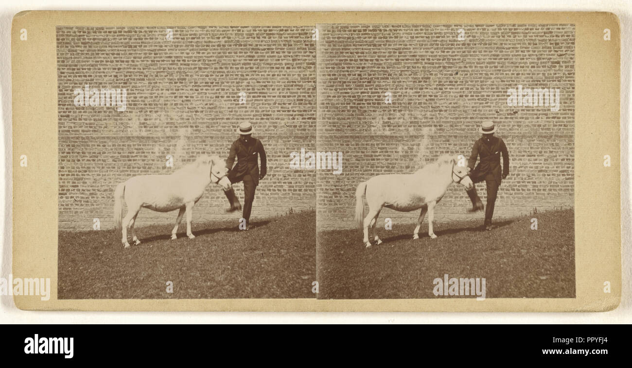 Uomo in cappello di paglia poste con cavallo bianco di fronte a un muro di mattoni; circa 1865; albume silver stampa Foto Stock