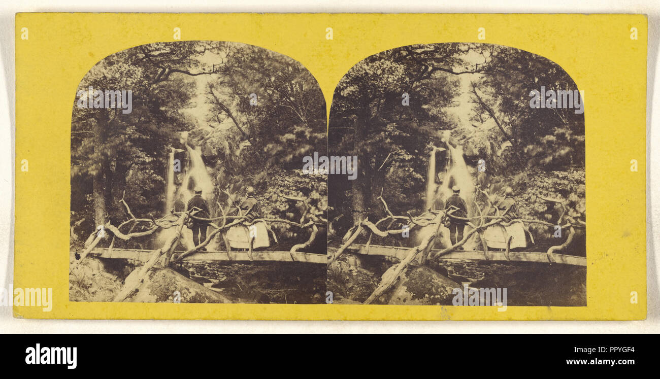 Cascata in Bolton boschi; British; circa 1860; albume silver stampa Foto Stock