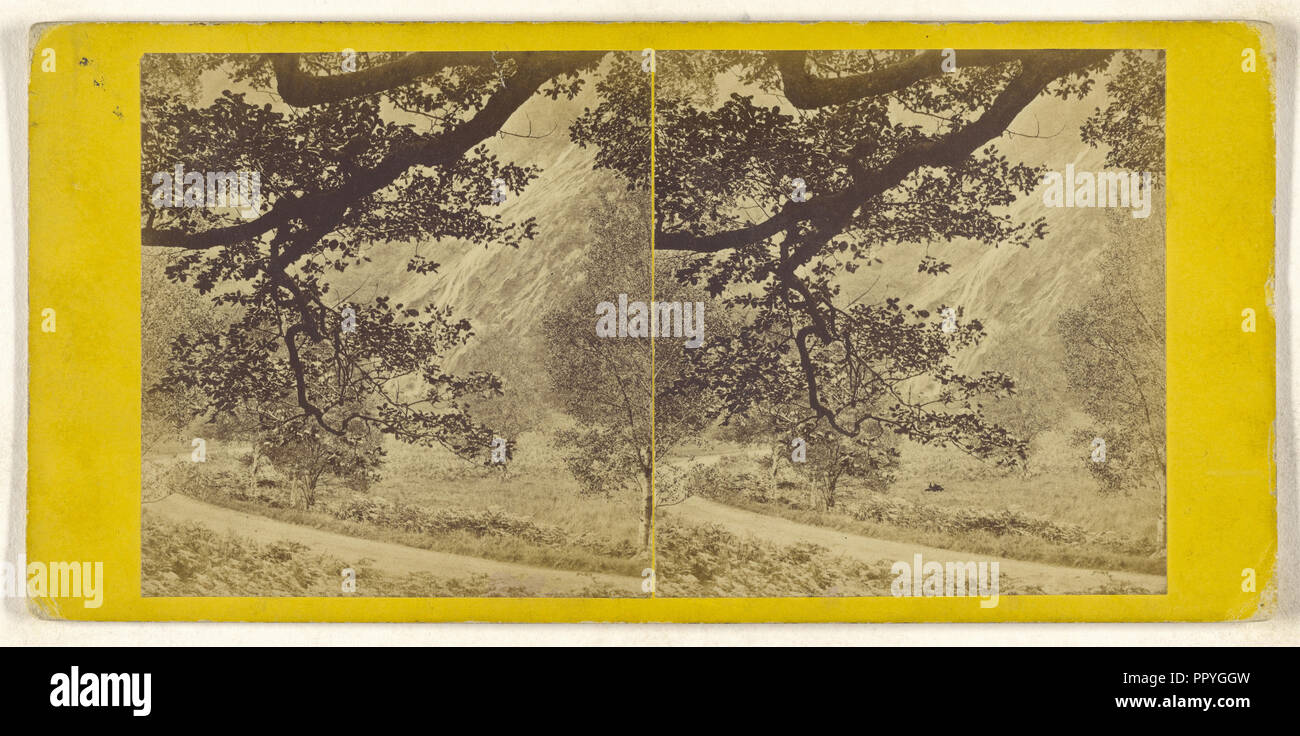 Al Powerscourt Waterfall, Co. Wicklow; British; circa 1860; albume silver stampa Foto Stock