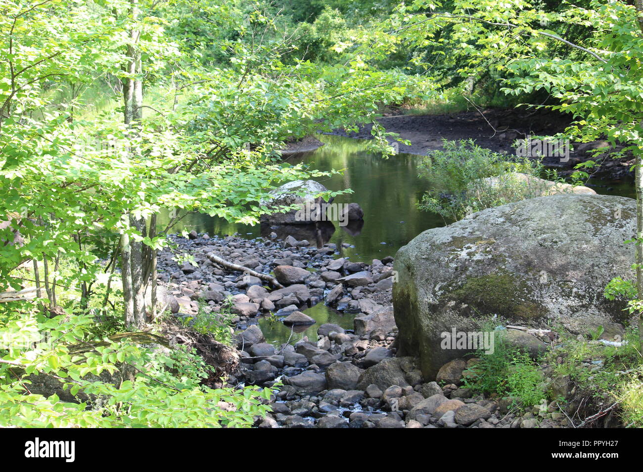 Rocky letto di ruscello che conduce ad un laghetto in una zona boscosa con un masso in avanti Foto Stock