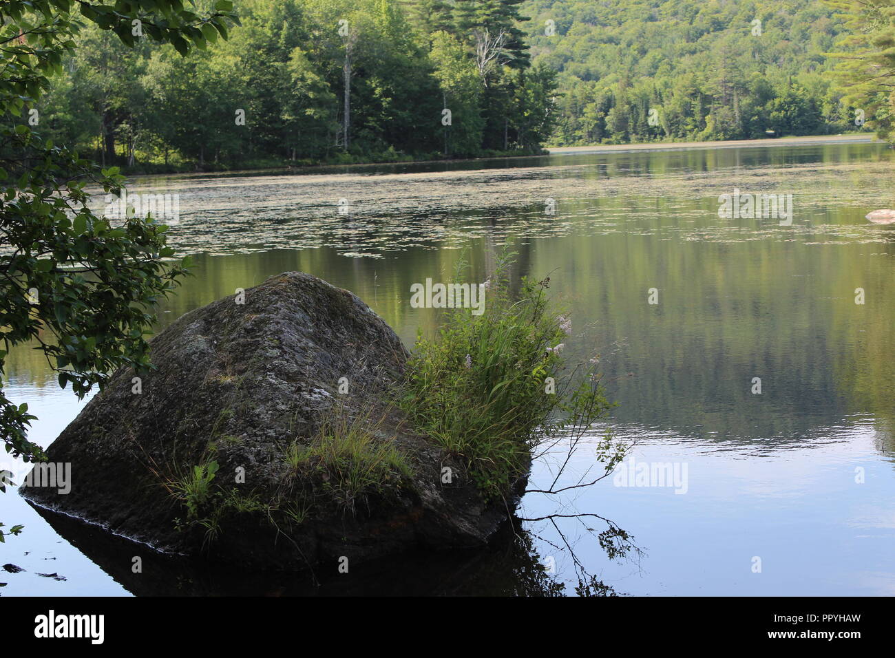 Ancora stagno con rocce e rive boscose si riflette nell'acqua in un giorno di primavera Foto Stock