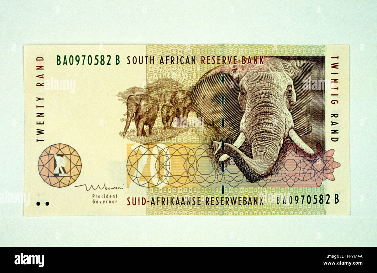 Non 1301948 carta moneta SUD AFRICA 20 RAND dell' elefante africano Foto Stock