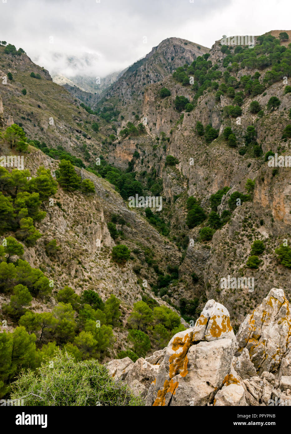 Gola di ripide scogliere, Sierras de Tejeda parco naturale, Axarquia, Andalusia, Spagna Foto Stock