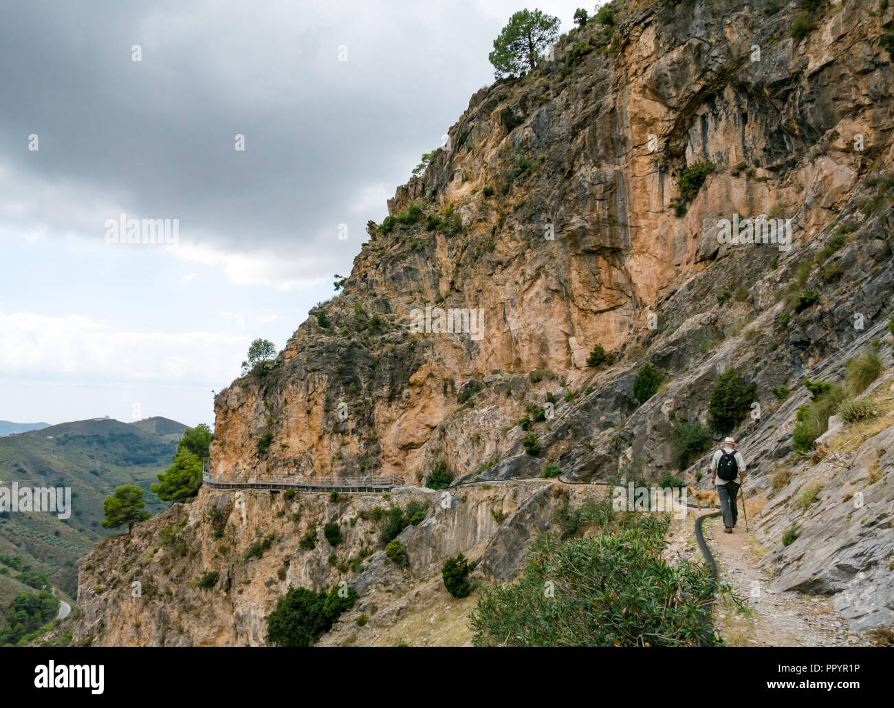 Vecchio uomo che indossa cappello di Panama camminando sulla gola di montagna sentiero, Sierras de Tejeda parco naturale, Axarquia, Andalusia, Spagna Foto Stock