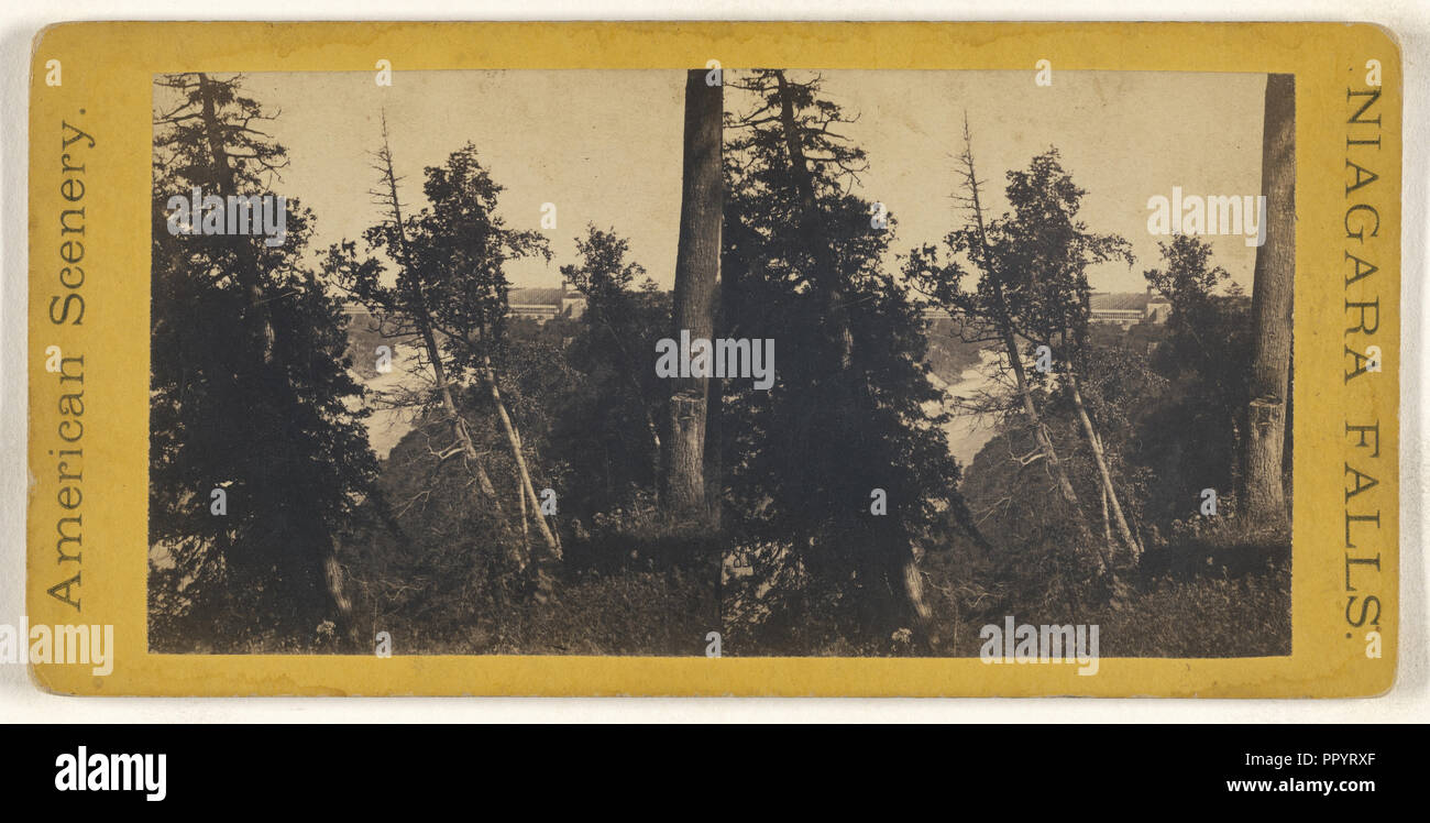 Foresta di scena a Cascate del Niagara; American; circa 1870; albume silver stampa Foto Stock