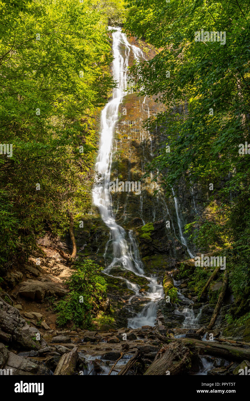 Mingo Falls Cascate Foto Stock