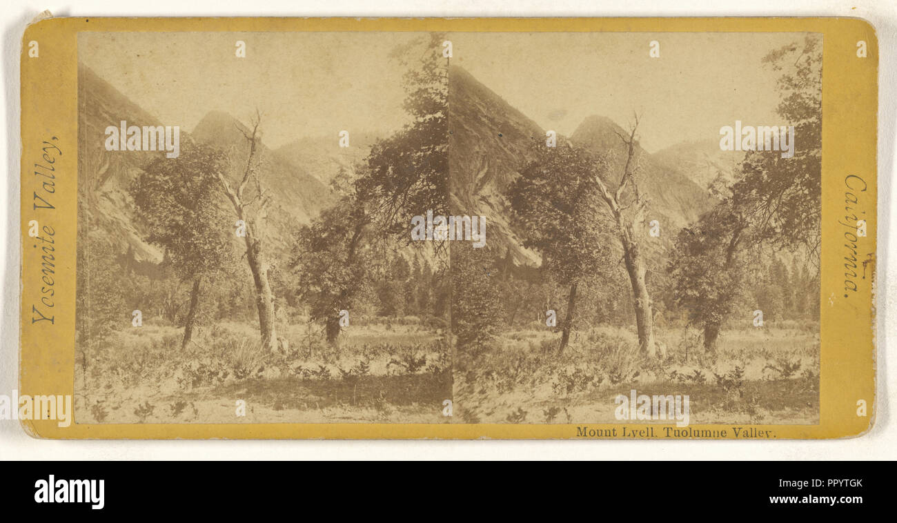 Montare Lyell, Tuolumne valle; circa 1868; albume silver stampa Foto Stock