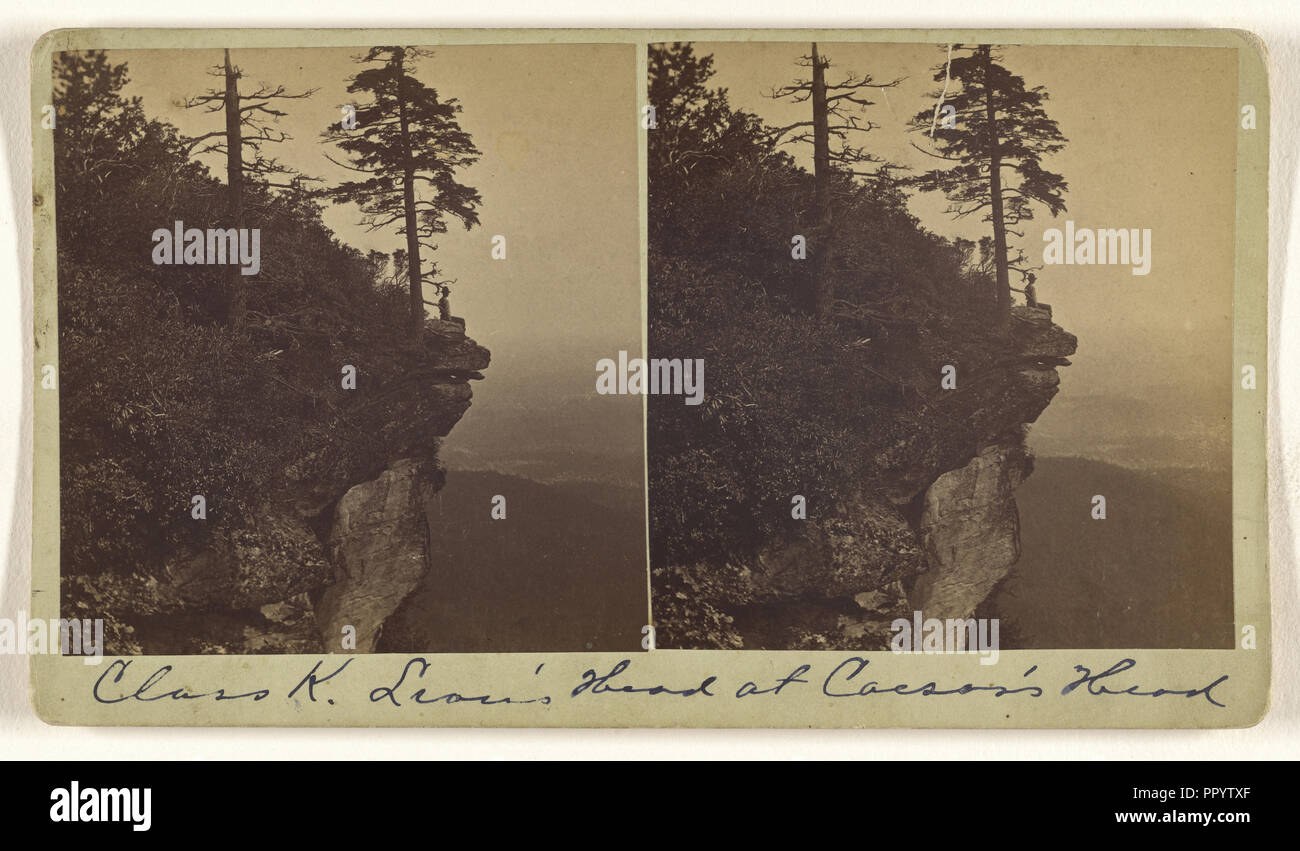 Testa di leone a Cesare Testa, North Carolina; Nat. W. Taylor, American, attivo 1880 - 1890S, 1870s; albume silver stampa Foto Stock