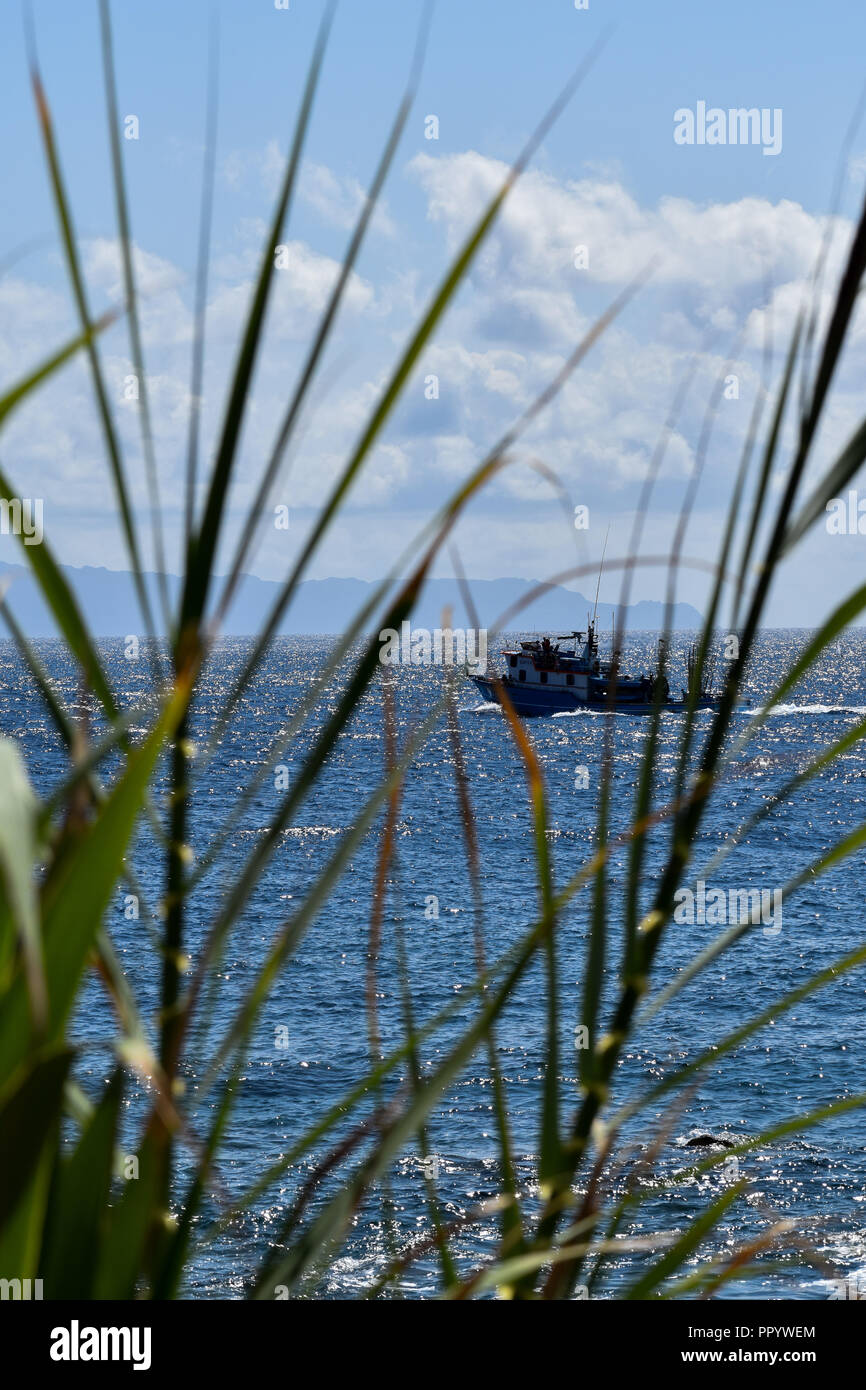 Barca nel mare Foto Stock