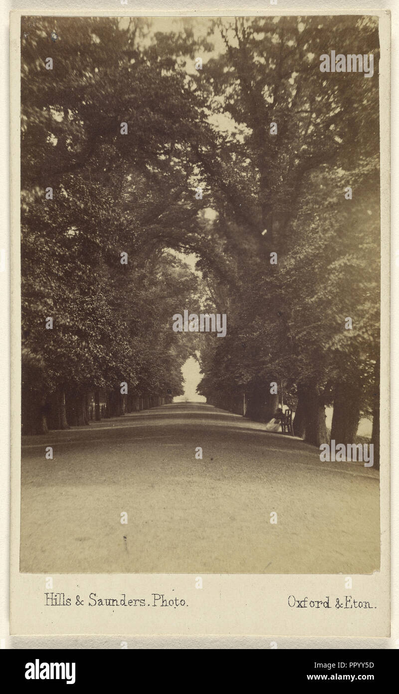 Ch:ch lunga passeggiata; Colline & Saunders, britannico, attivo circa 1860 - 1920s, 1 maggio, 1866; albume silver stampa Foto Stock