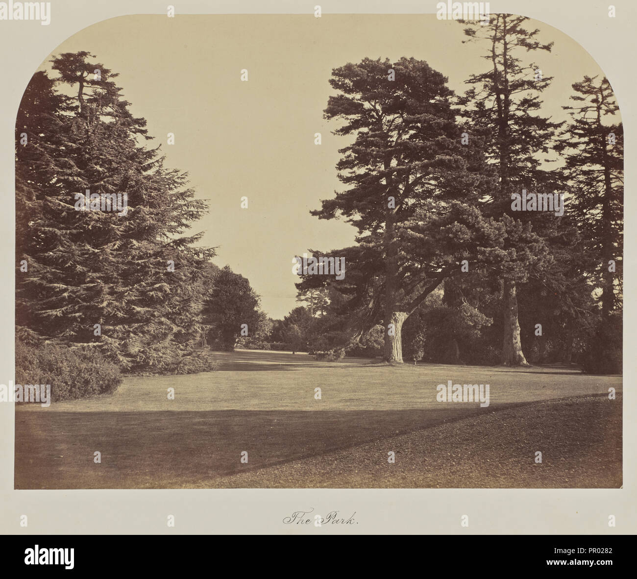 Il parco; Gran Bretagna; circa 1865; albume silver stampa Foto Stock